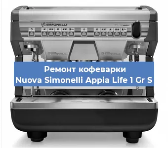 Ремонт кофемашины Nuova Simonelli Appia Life 1 Gr S в Красноярске
